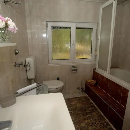Apartment Apartman Vesna *